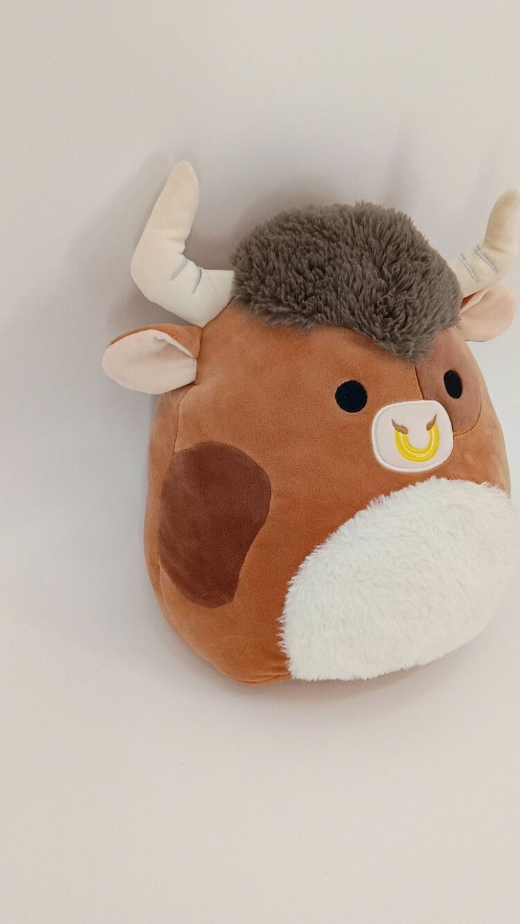 Squishmallows Shep Highland Cow 11" Plush S11 #1672 Kellytoy 2023 w/ Hang Tag - Picture 4 of 14